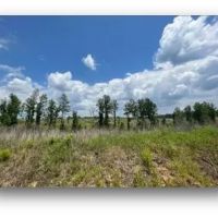 190.1 Acres in Holmes County in Lexington MS images 4