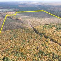 265 Acres CR 4223 Tract 1005 images 2