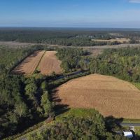 44.49 acres of Recreational Land For Sale in Carteret County NC images 2