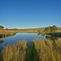 Jackson Creek Ranch