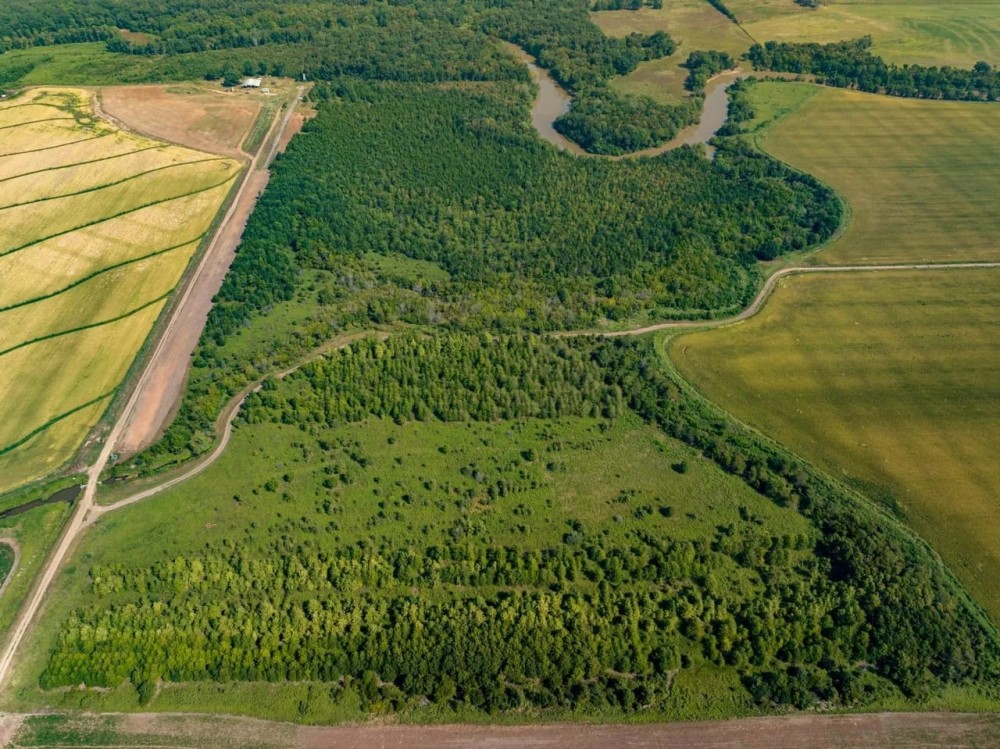 610 - Row Crop Duck Hunting Paved Road Frontage Conway Arkansas featured image