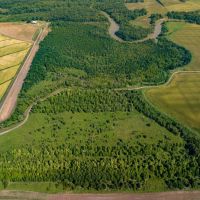 610 - Row Crop Duck Hunting Paved Road Frontage Conway Arkansas