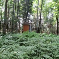 Michigan 114 - Acre Recreational 50120268 images 3