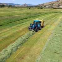 Phillips Creek Ranch images 3