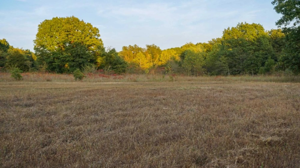 North Ridge Ranch featured image