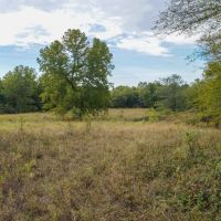 North Ridge Ranch images 4