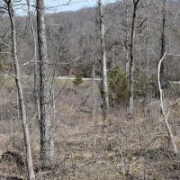 County Line images 2