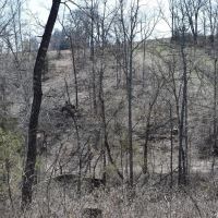 County Line images 4