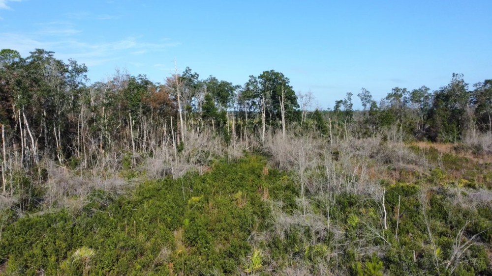 Quail Run Tract featured image