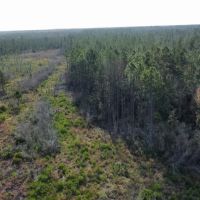 Quail Run Tract images 2