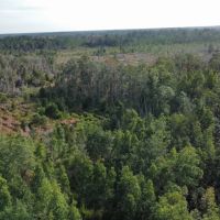 Quail Run Tract images 4
