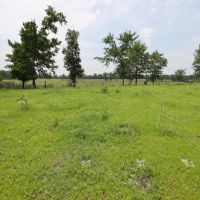 Smithville Tract 1—3.17 Acres More Or Less