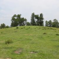Smithville Tract 1—3.17 Acres More Or Less images 3