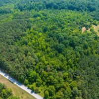 11.50 acre Building Lot for Sale in Caswell County NC images 2