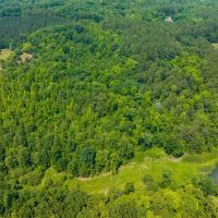 11.50 acre Building Lot for Sale in Caswell County NC images 4