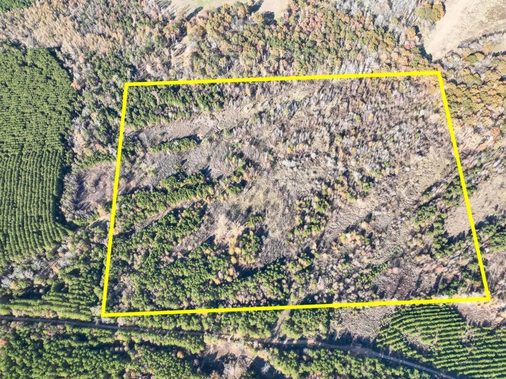 46 Acres Off County Road 3 featured image