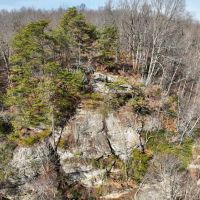 Caves Rd - 104 acres - Jackson County images 3