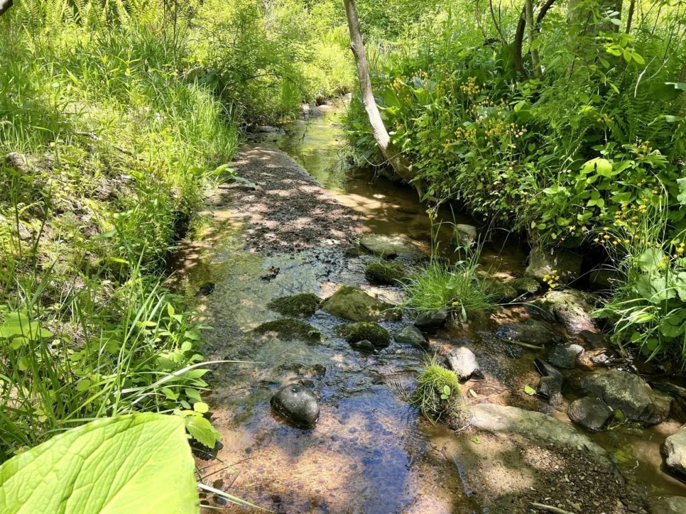 Mt. Zion Rd. Fayette County - 59 - acres featured image