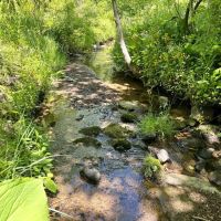 Mt. Zion Rd. Fayette County - 59 - acres