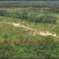 87.1 Acres in Neshoba County in Philadelphia MS