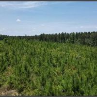 87.1 Acres in Neshoba County in Philadelphia MS images 3