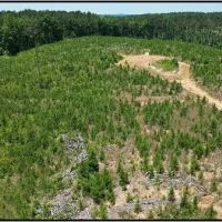 87.1 Acres in Neshoba County in Philadelphia MS images 4