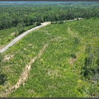 87.1 Acres in Neshoba County in Philadelphia MS images 5