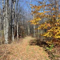 Whitetail Mecca