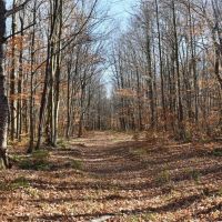 Whitetail Mecca images 3