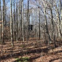 Whitetail Mecca images 4