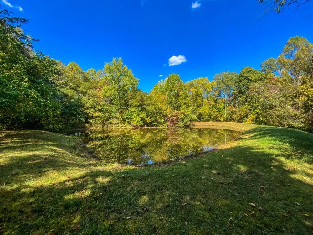 Vales Mills Rd - 166 acres - Vinton County featured image