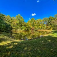 Vales Mills Rd - 166 acres - Vinton County