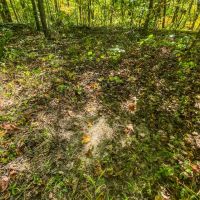 Vales Mills Rd - 166 acres - Vinton County images 3