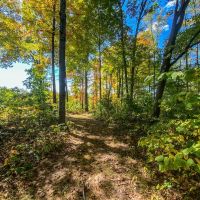 Vales Mills Rd - 166 acres - Vinton County images 4