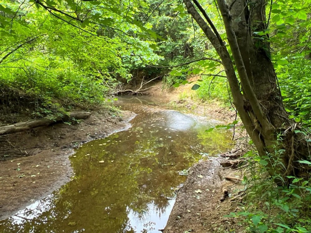 SR 278 - 10 acres - Vinton County featured image