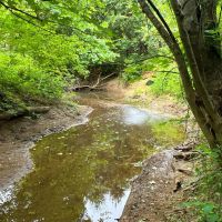 SR 278 - 10 acres - Vinton County