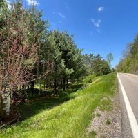 SR 278 - 10 acres - Vinton County images 3