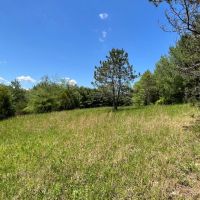 SR 278 - 10 acres - Vinton County images 4