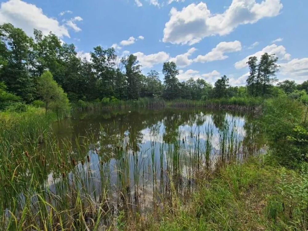 Todd Farm featured image