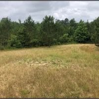 79.6 Acres in Holmes County in Durant MS