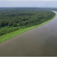 1 Equity Share With a Cabin in Desha County at Beulah Island in Watson AR images 2
