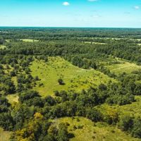 Eastern Ozark Border Pasturelands Tract 2 images 5