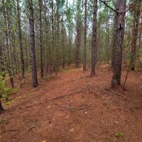 MARKET BASED PRICE IMPROVEMENT 126 Acres of Residential or Recreational Land For Sale in Pittsylvania County VA images 3