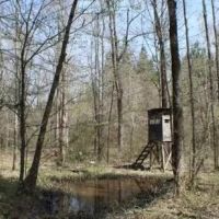 83.5 Acres in Madison County in Carthage MS images 1