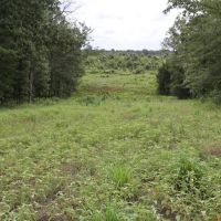 Clear Springs Recreational 182 acres