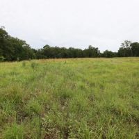 Clear Springs Recreational 182 acres images 2