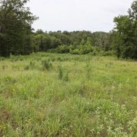 Clear Springs Recreational 182 acres images 3