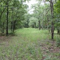 Clear Springs Recreational 182 acres images 4