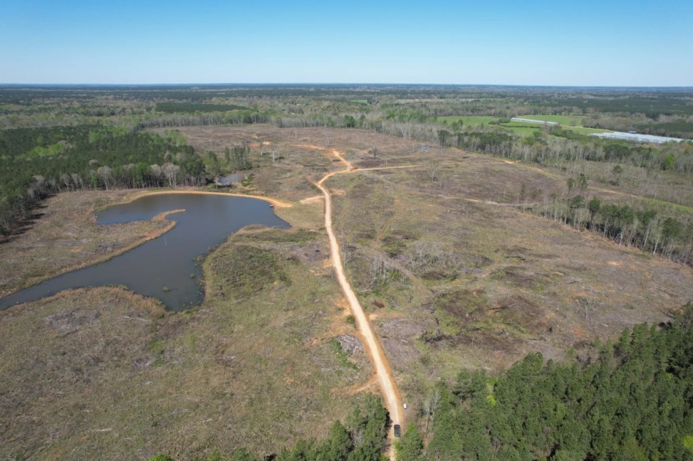 141 Acres in Scott County in Forest MS featured image