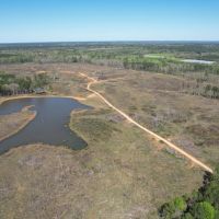 141 Acres in Scott County in Forest MS images 2